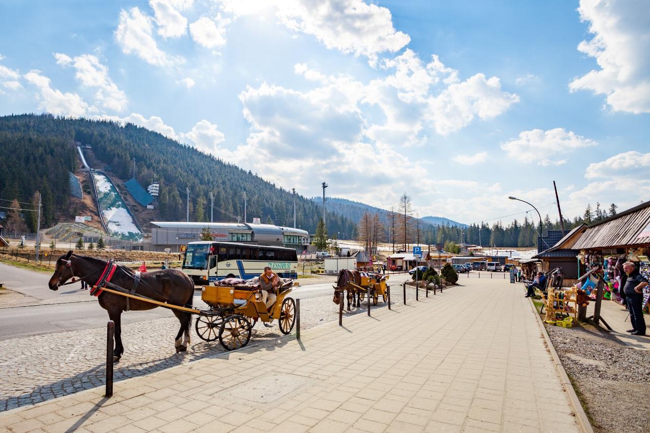 Rent like home - Tetmajera Zakopane Eksteriør billede